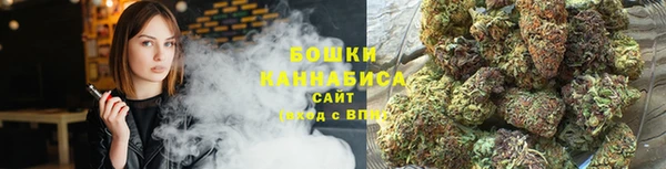 прущие грибы Осинники