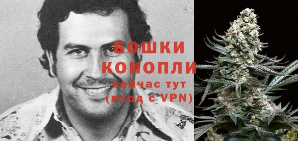 прущие грибы Осинники