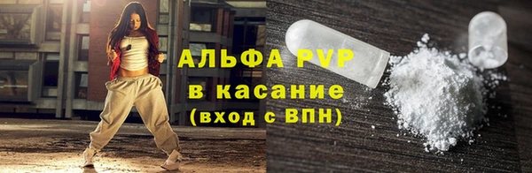 прущие грибы Осинники