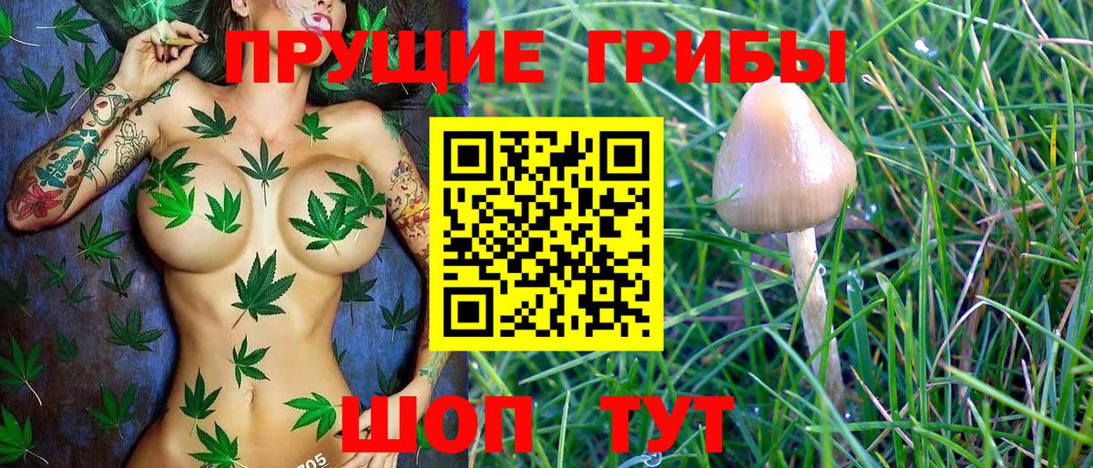 Уварово  Галлюциногенные грибы MAGIC MUSHROOMS  Вход с VPN  Псилоцибиновые грибы Psilocybe 