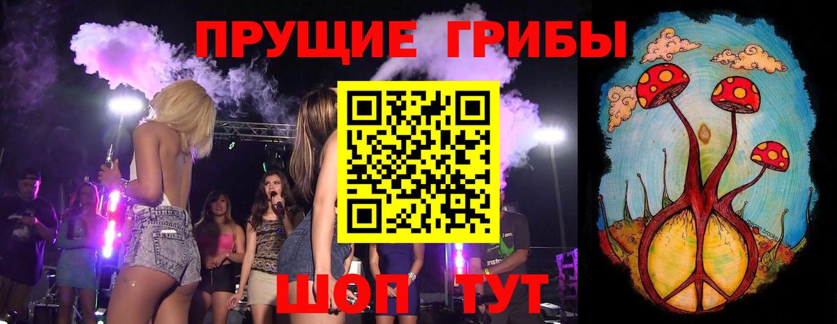Галлюциногенные грибы Psilocybine cubensis Уварово